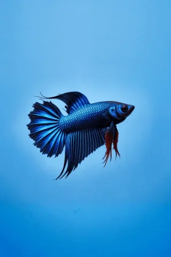 A pixelated image of an orange and white cat lying down, looking to the side, with blurred greenery in the background