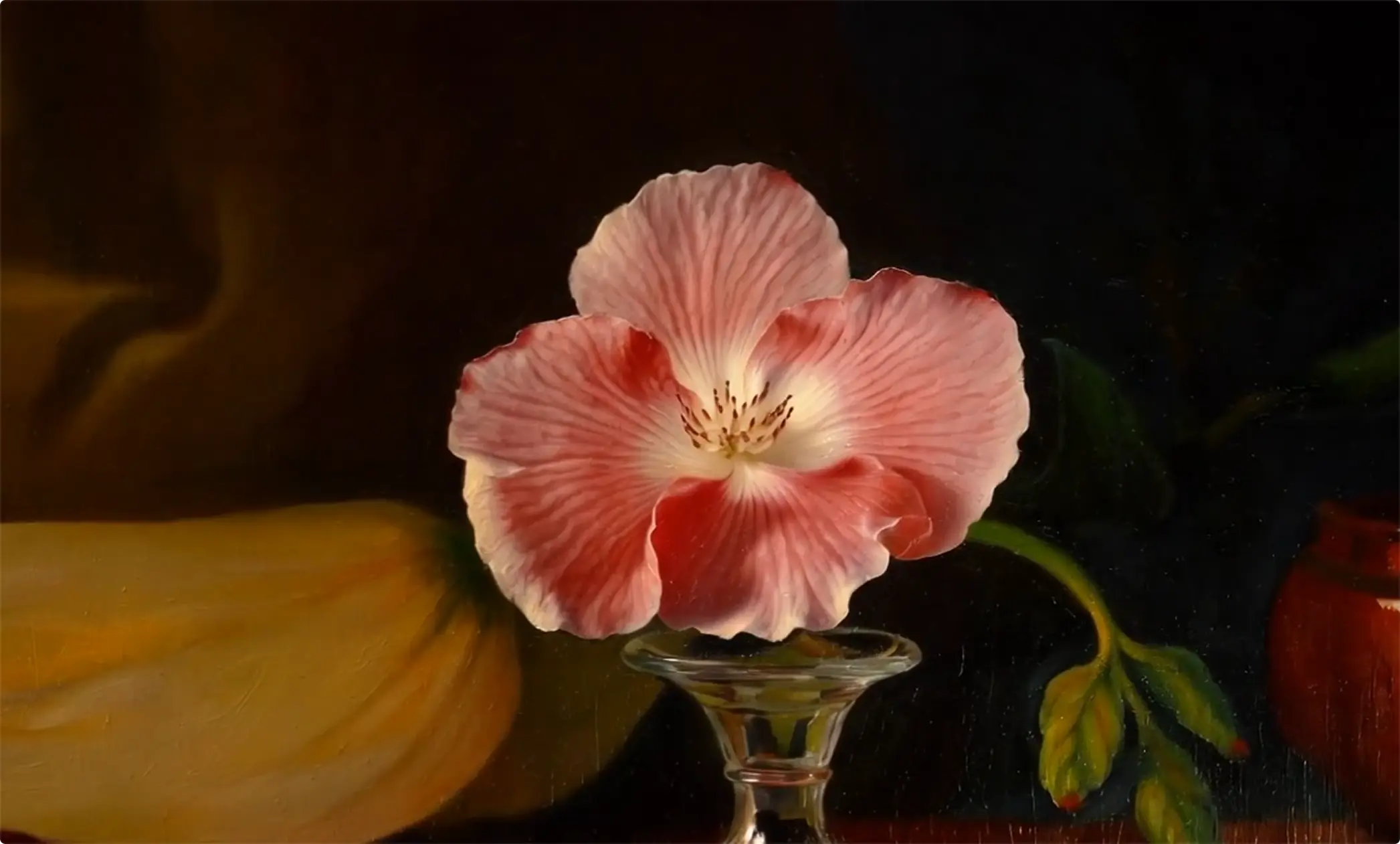 A pixelated image of an orange and white cat lying down, looking to the side, with blurred greenery in the background